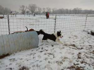 26231176_1777444195884990_4340471654719695268_n