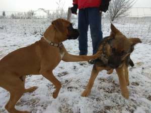 26731576_1777443915885018_4109828723171911785_n