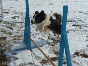 28117536_1791472347815508_1770872878_n