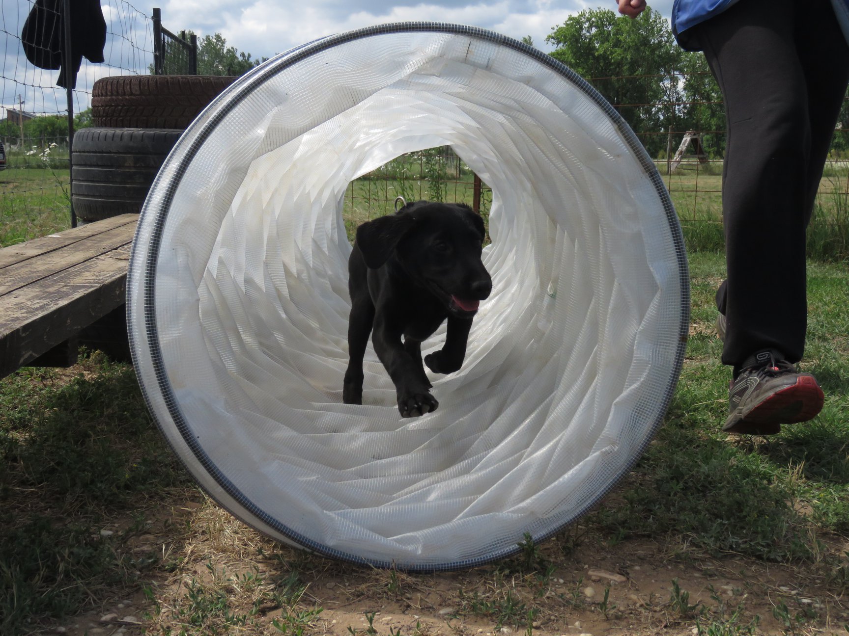 35932249_1849189152043827_690669649305534464_o (1)