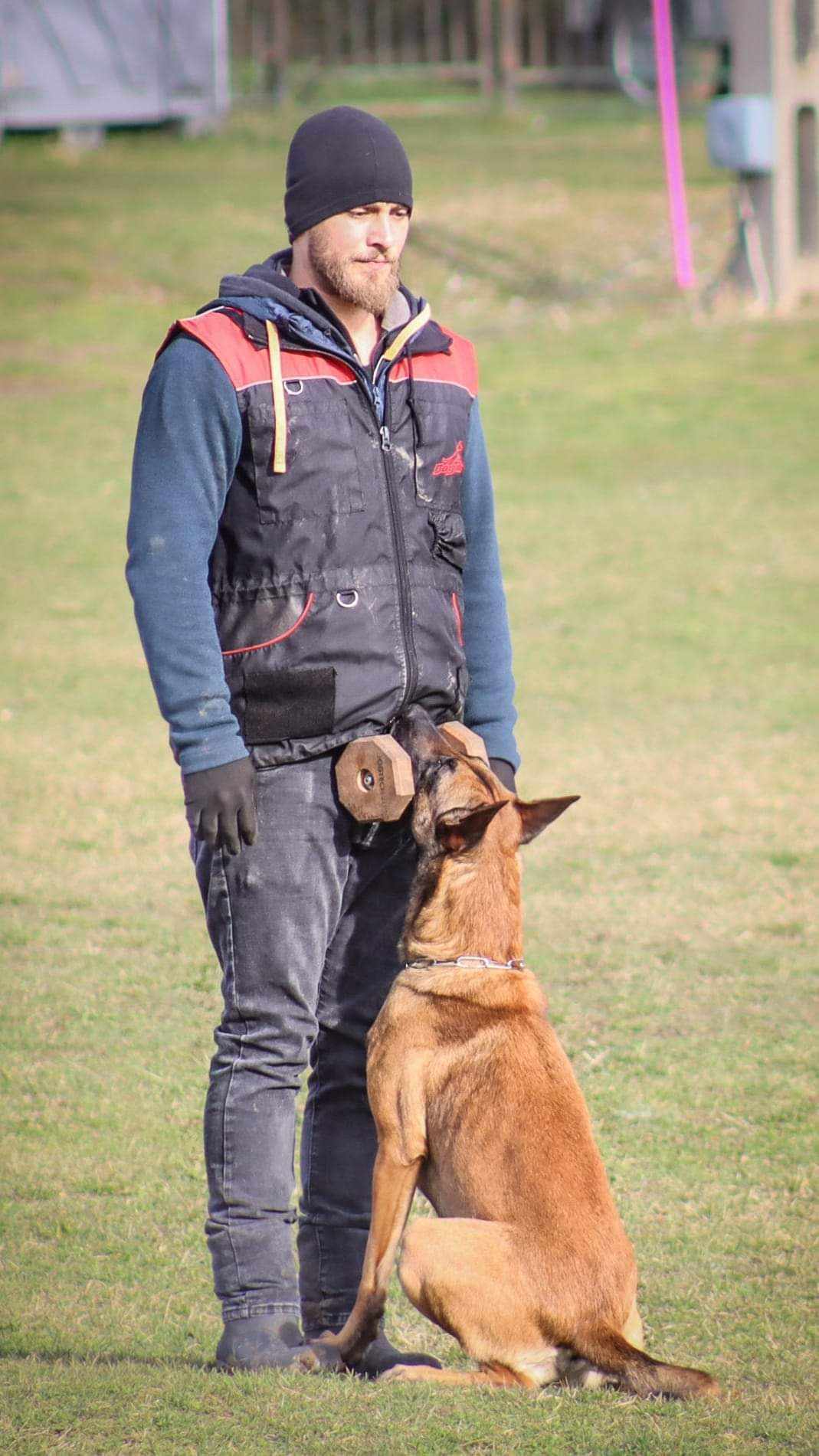 28d5aa20-0bcc-4c18-864e-09cf02e4028e